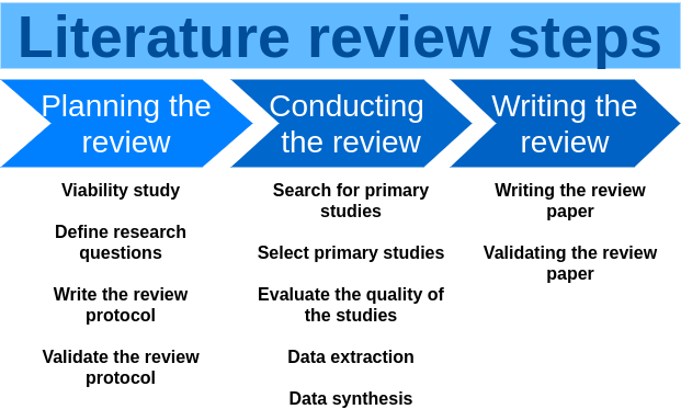 steps of literature review process